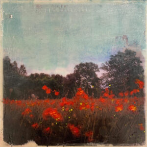 Serene landscape with red flowers in foreground, silhouetted trees, and cloudy sky.