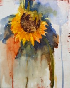 Watercolor sunflower with vibrant yellow petals, dark center, abstract blue, green, red background.
